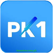 PK1 Game