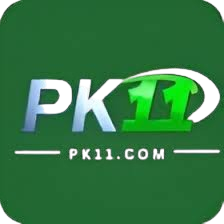pk11 Game