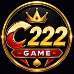 C222 game